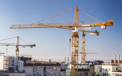 Balance Sheet Shock for Some Irish Businesses