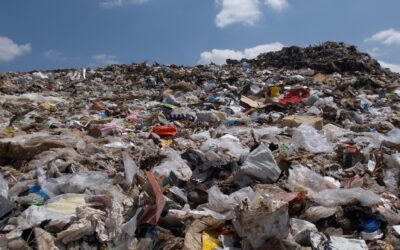 CPD is Not a Load of Rubbish