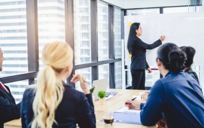 FRC Explains What is an Audit?