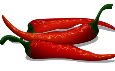 Are you Ready for a Hot File Review?