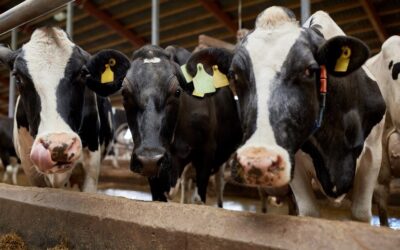 Industrial & Provident Societies Acts 1893 to 2021