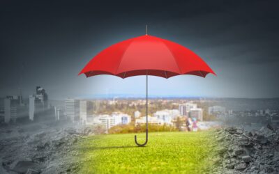 Mini Umbrella Company (MUC) Fraud