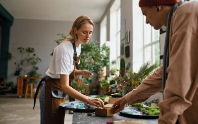 New Practice Note for Auditing Small/Less Complex Entities