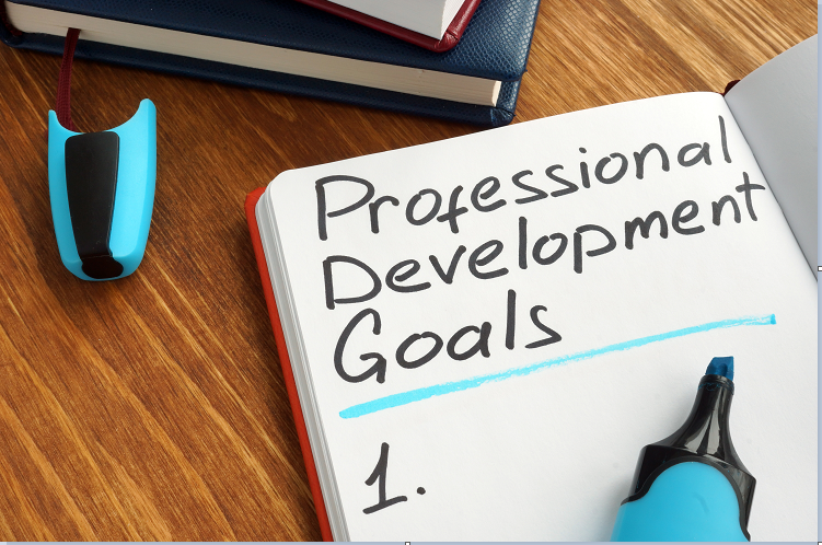 Professional Development Goals